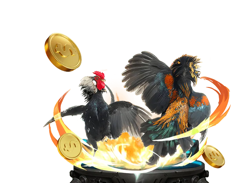 Các nguyên tắc cá cược an toàn